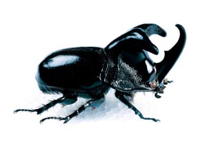 �I�I�c�m�����K�^�J�u�g