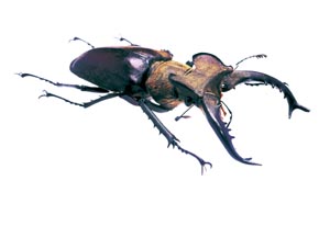 �^�J�T�S�~���}�N���K�^