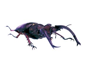 �w���}���~���}�N���K�^