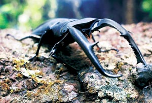 �}���f�B�u�����X�t�^�}�^�N���K�^