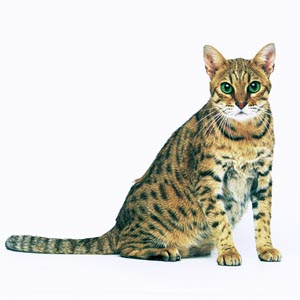 �x���K��