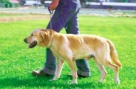 ���[�h�͒Z�������܂�