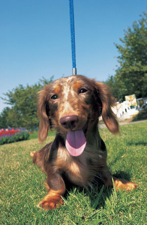 �~�j�`���A�E�_�b�N�X�t���h