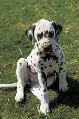 �_�����V�A��