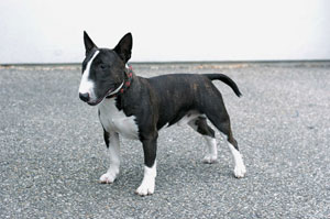 �~�j�`���A�E�u���E�e���A