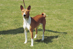 �o�Z���W�[