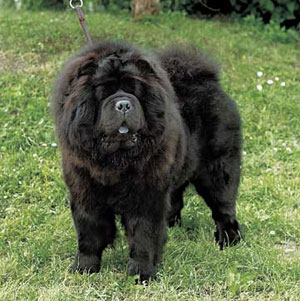 �`���E�E�`���E