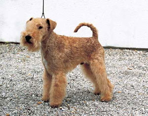 ���[�N�����h�E�e���A