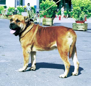 �}�����J�E�}�X�e�B�t