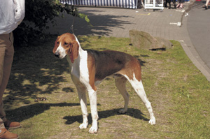 �t�����`�E�g���R���[���E�n�E���h