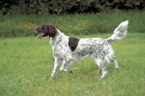 �N���C�i�[�E�~�����X�^�[�����_�[