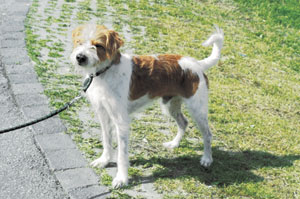 �N�����t�H�������_�[