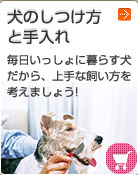 ���̂������Ǝ����