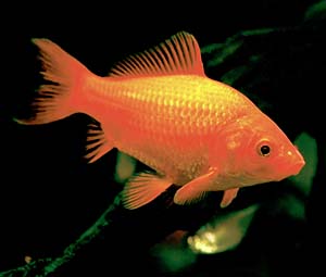 ���L���i�a���j