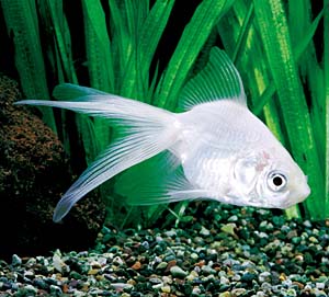 �������E�L��