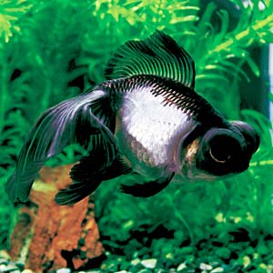 �p���_����