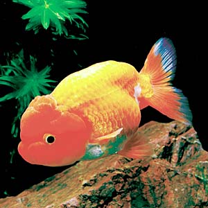 �����`���E