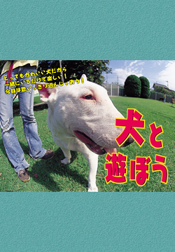 ���ƗV�ڂ�