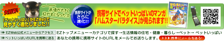 �y�b�g�����ς���EZWeb�Ői����!