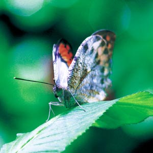 �c�}�x�j�`���E