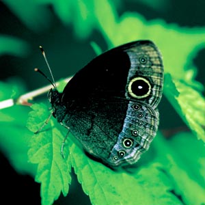 �R�W���m��