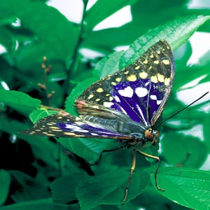 �I�I�����T�L