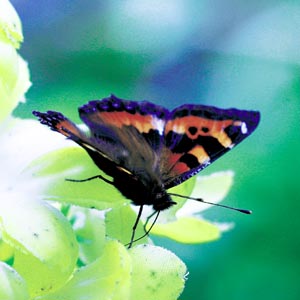 �T�J�n�`�`���E