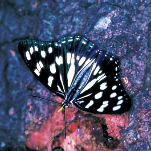 �S�}�_���`���E