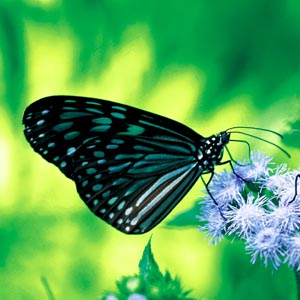 �����E�L���E�A�T�M�}�_��