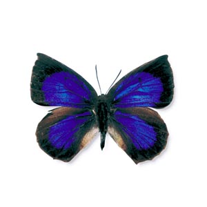 �����T�L�V�W�~