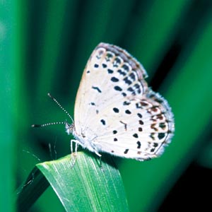 ���}�g�V�W�~