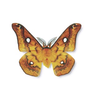 �E�X�^�r�K