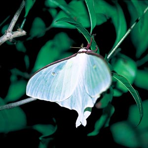 �I�I�~�Y�A�I