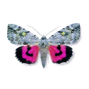 �x�j�V�^�o