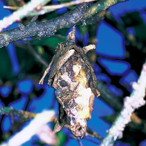 �I�I�~�m�K