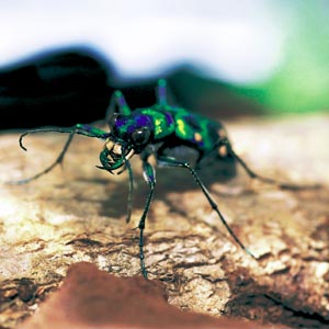 �n���~���E