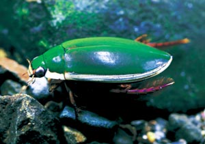 �Q���S���E