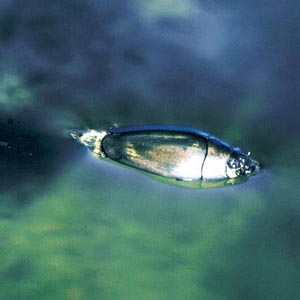 �I�I�~�Y�X�}�V