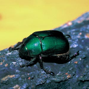 �A�I�h�E�K�l