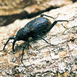 �I�I�]�E���V