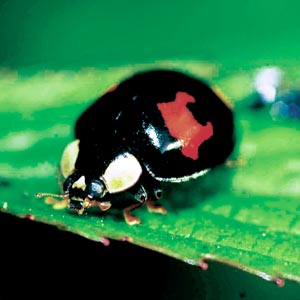 �i�~�e���g�E