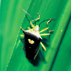 �G�T�L�����L�c�m�J�����V