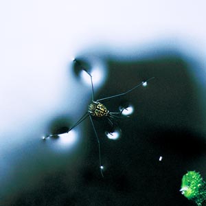 �V�}�A�����{