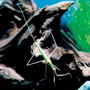 �~�Y�J�}�L��