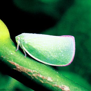 �A�I�o�n�S����