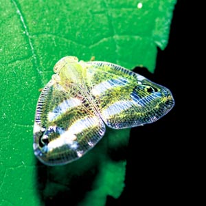 �x�b�R�E�n�S����