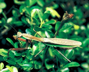 �I�I�J�}�L��