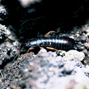 �n�T�~���V