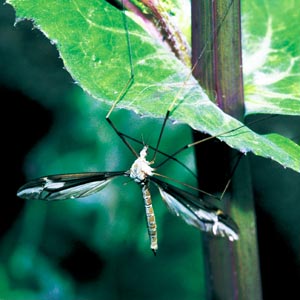 �L���E�W�K�K���{