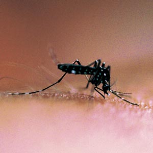 �q�g�X�W�V�}�J